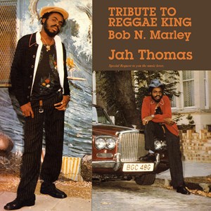 Tribute To Reggae King Bob Marley Sleeve