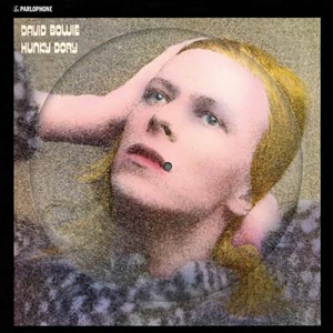 Hunky Dory 50th Anniversary Sleeve