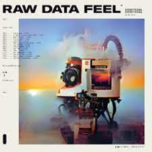 Raw Data Feel Sleeve