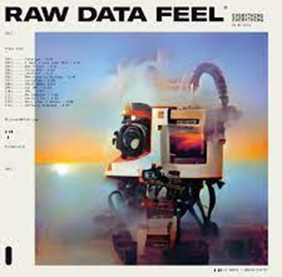 Raw Data Feel Sleeve