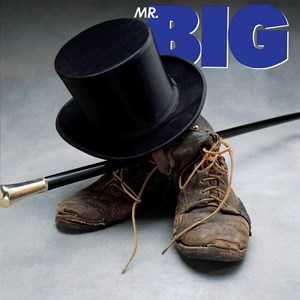 Mr. Big Sleeve