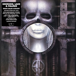 Brain Salad Surgery Sleeve